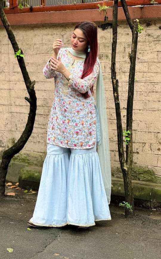 Dwarka Call Girl Service